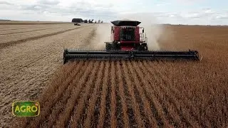 Tecnología, nutrición e intensificación, un combo que triunfa en el sudeste (#1086 2024-06-01)
