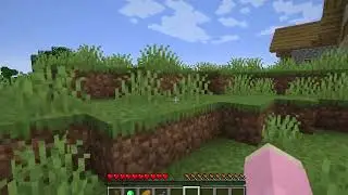 No Turning Back..|| Episode 1 || Pink Petal Diaries