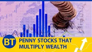These penny stocks turned Rs 1 lakh up to Rs 4 crore in just 20 months