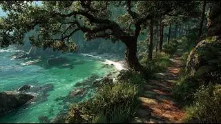 The Tranquil Haven of the Coastal Glade | Medieval Fantasy Music & Animated Ambience