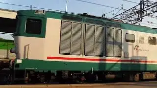 Due navettoni diesel con D445 a Conegliano - era il 2013