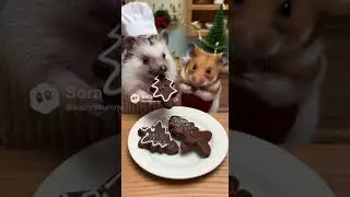 #miniaturecooking #miniature  #cooking #miniaturefood #food #asmr #animals #cute #hedgehog #hamster