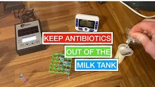 ANTIBIOTICS IN MILK!! How and why we test for it