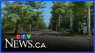 Tiny Township upgrades crosswalk