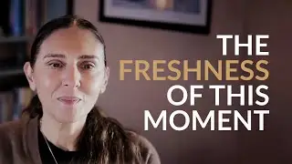 Discovering the Freshness of Each Moment | A Guided Meditation