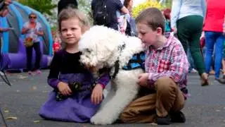Support Irish Guide Dogs' Assistance Dog programme