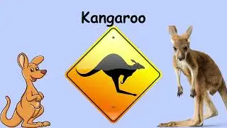 20 Animal Guessing Game | Fun Animal Trivia Challenge | Fun Educational Game For Kids