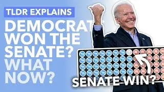 Georgia Elections: Have Democrats Snatched Control of the Senate? -  TLDR News
