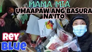 dumpster diving  BASURA DITO SA MADRID SPAIN APAW SA GRASYA 😱 jezvlog