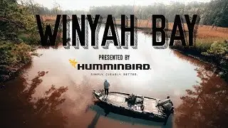 Fear My Heart - Winyah Bay