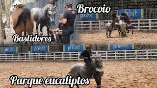 BASTIDORES COM BROCOIO E DON DON MASTER GAV PARQUE EUCALIPTOS CAMPEONATO PORTAL 2025
