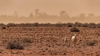 &lsquo;Soul crushing&rsquo; drought in South Australia influences $73 million dollar support package