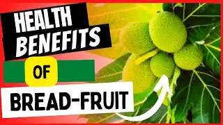 HEALTH and SKIN BENEFITS of BREADFRUIT (Is Breadfruit a Vegetable?)