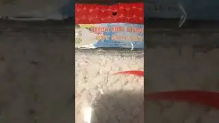 First time trying arrow root starch bot San day