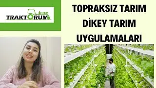 Topraksız Tarım ve Dikey Tarım Uygulamaları Nedir?