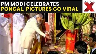 PM Modi Celebrates Pongal LIVE | Modi&rsquo;s Festival Message Resonates Nationwide