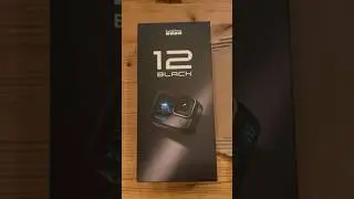 Early Christmas Gift from GoPro🎁🤩 #GoPro #christmas #gift #viral