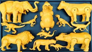 🔴Clean Up Muddy Dinosaur Animals❗T-rex, Cow,  Gigabotosaurus, Velociraptor, Alosaurus, Deinonycyus