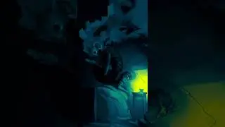 leonardo - Racconti Onirici (Official Visualiser)