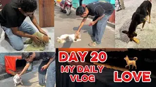 Day 20 | Everyday Life Vlog 🧡 | Small Moments Big Happiness