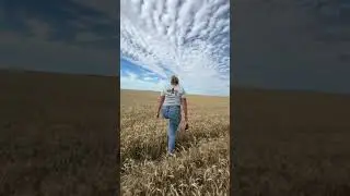 🇺🇸