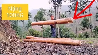 Preparing for a Long-Term Jungle Survival Life Building a Life