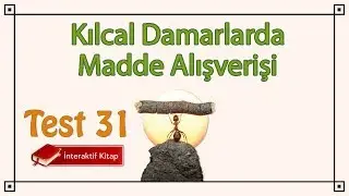 AYT Biyoloji Test 31 #sayfa83