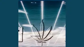 Blunt