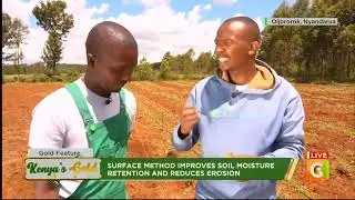 KENYA S GOLD   Potato Farming  Surface Planting Part 1720p
