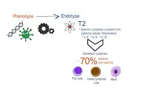 New Concepts in the Pathobiology of Asthma