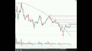 Treet PSX Stock Analysis | Bullish Breakout Ahead? Key Levels to Watch