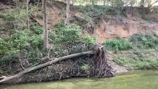 Crescent Bend Nature Park: Geography In My Backyard Project