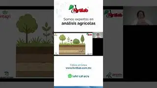 How does healthy soil work?