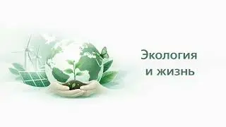 Плейлист   Экология и жизнь