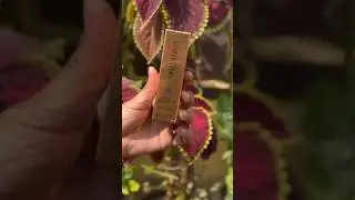Liquid highlighter #swissbeauty #youtubeshorts #makup #product #review
