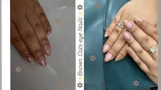 Brown Cats-eye gel nails design|First time using cats-eye gel!