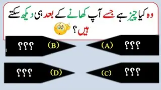 Best General Knowledge Question And Answer And Pahelian | Maloomati Knowledge Pedia