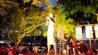 FLY HOSTS: Elizabeth Lazan - Singapore Heritage Festival Asian Cultural Museum 2014   Day 1