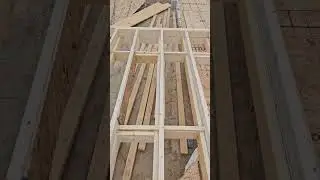 Tall wall framing