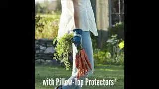 Dig It&reg; Handwear Garden Gloves