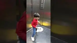 Fun in lift #jariworld #fun #short #parrot #foryou #kids #pigeon #pet #fyp#viral #trending #animals