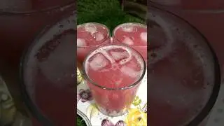 Falsa Juice | Falsa Sharbat Recipe #falsajuice #falsasharbat #sharbatrecipes #shorts
