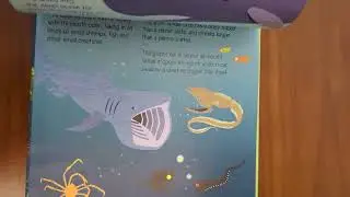 Hard cover book about nature for kids at 180. 