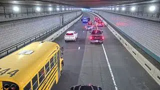 Dog rescued from Boston's Ted Williams Tunnel during rush hour
