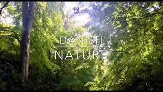Beautiful Danish nature & relaxing piano music.