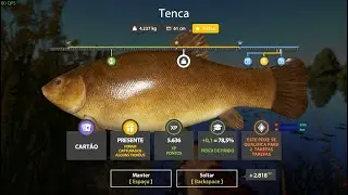 russian fishing 4 ao vivo   farmando prata