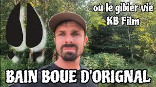 Trail Cam pour la chasse à l'orignal placé sur un bain boue.