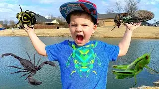 Bug Hunt Outdoor Adventure with Caleb & Mommy!