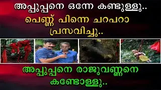 അപ്പുപ്പനെ ഒന്നേ കണ്ടുള്ളു പെണ്ണ് പിന്നെ ചറപറാ പ്രസവിച്ചു