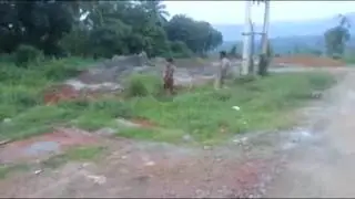 funny whatsapp videos